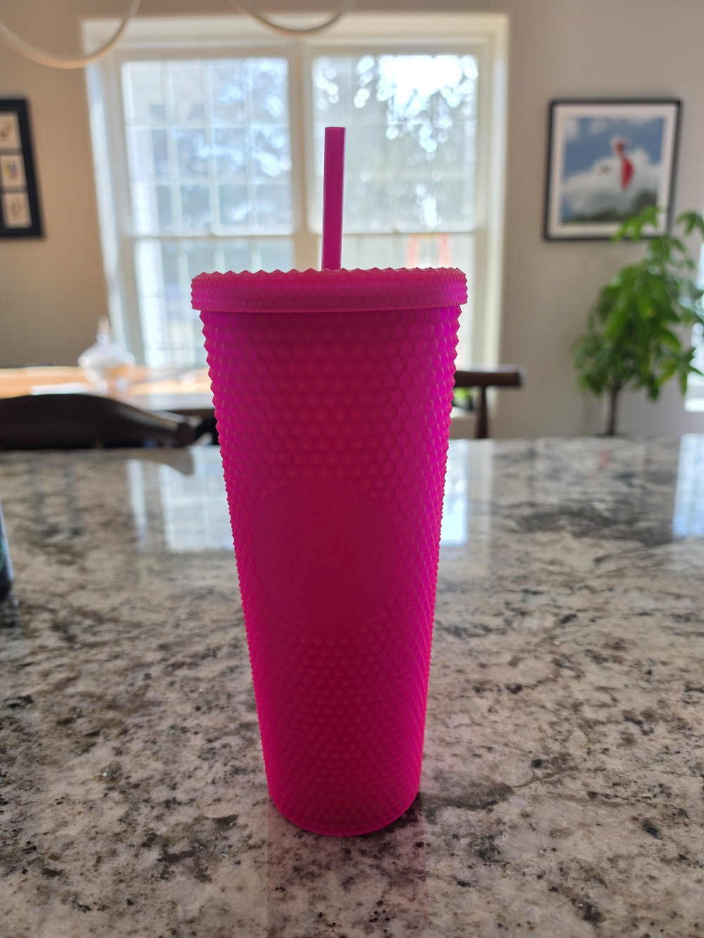 Starbucks MATTE Hot Pink Studded Tumbler with Lid & Straw